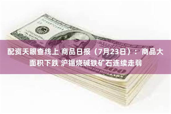 配资天眼查线上 商品日报（7月23日）：商品大面积下跌 沪锡烧碱铁矿石连续走弱