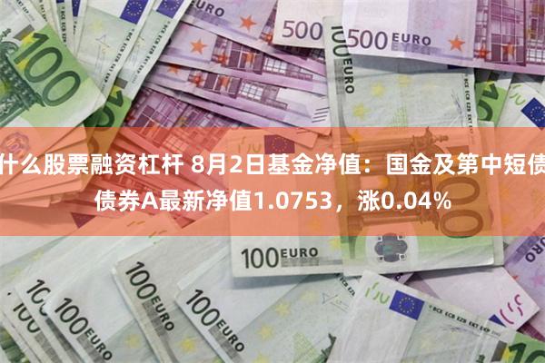 什么股票融资杠杆 8月2日基金净值：国金及第中短债债券A最新净值1.0753，涨0.04%