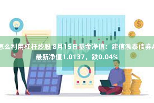 怎么利用杠杆炒股 8月15日基金净值：建信渤泰债券A最新净值1.0137，跌0.04%