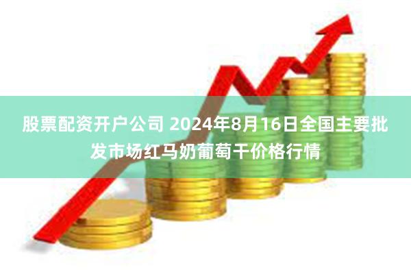 股票配资开户公司 2024年8月16日全国主要批发市场红马奶葡萄干价格行情