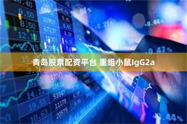 青岛股票配资平台 重组小鼠IgG2a