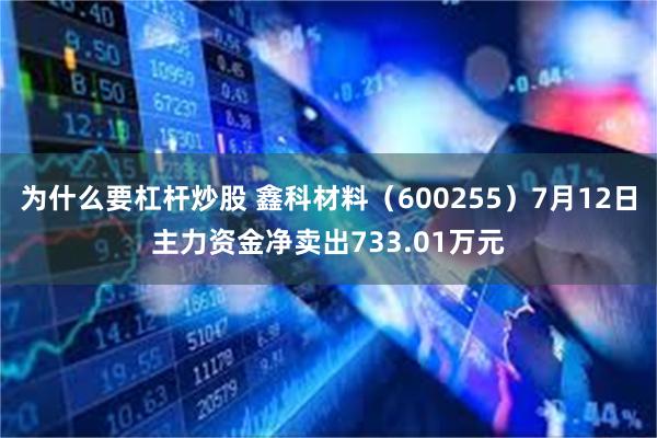 为什么要杠杆炒股 鑫科材料（600255）7月12日主力资金净卖出733.01万元